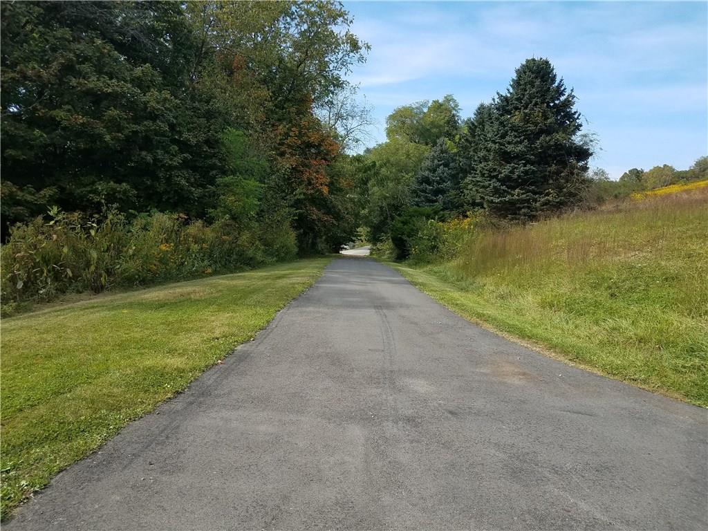42 Sparta Road Prosperity, PA 15329 - Photo 10 of 10 Top of driveway view from Fall 2017