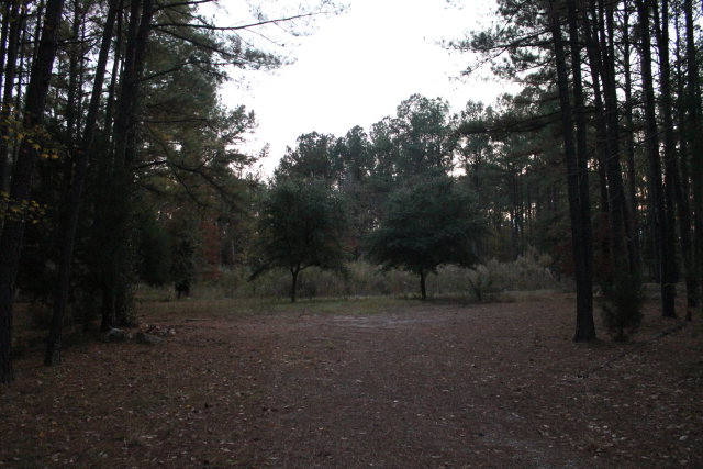 172 Thunder Road Johnston, SC 29832 - Photo 1 of 1 Main View