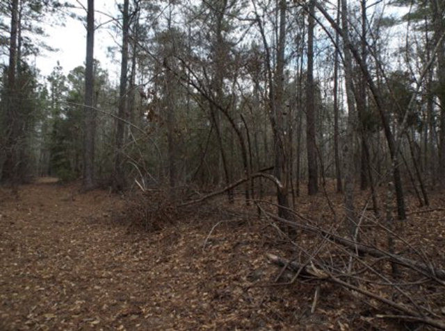 75 Dyches Road Grovetown, GA 30813 - Photo 2 of 3