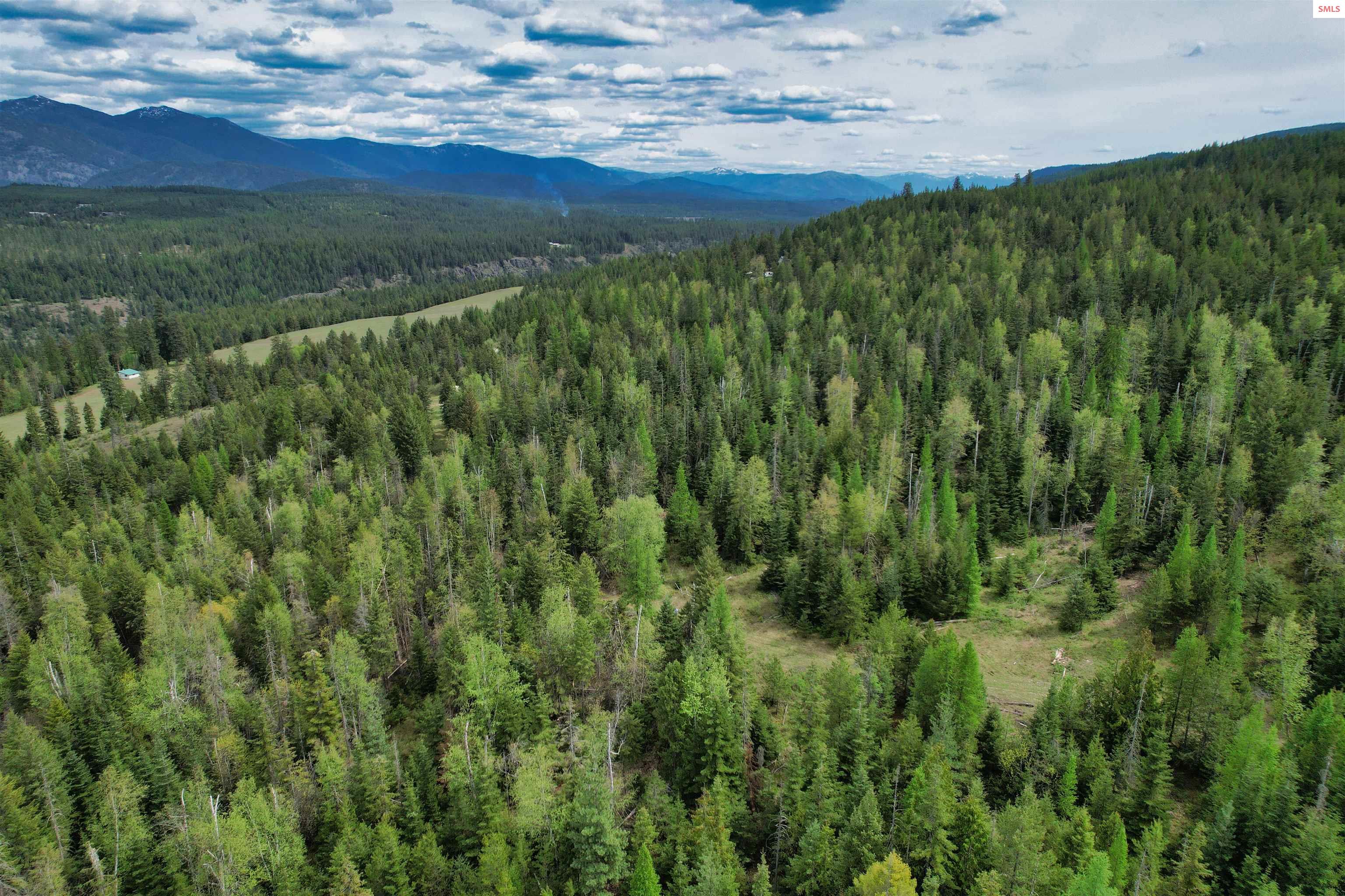 Two Tail Road Bonners Ferry, ID 83805 - Photo 4 of 15 Gallery Image 4