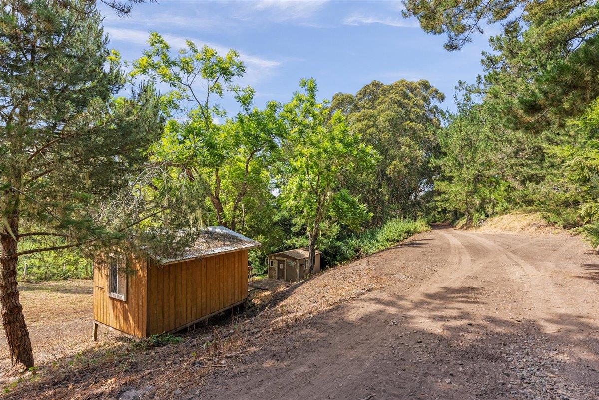 0 Stage Road San Gregorio, CA 94074 - Photo 18 of 48