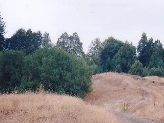 40000 Wickersham Road Geyserville, CA 95441 - Photo 2 of 3 a view of dirt field with trees in background