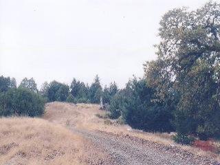 40000 Wickersham Road Geyserville, CA 95441 - Photo 3 of 3 a view of a dry yard with trees