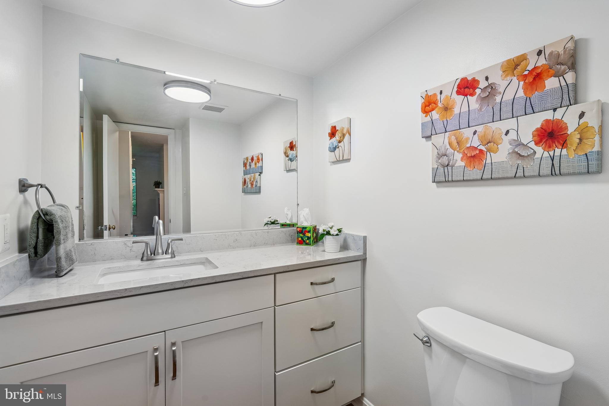 2 Tivoli Lake Court Silver Spring, MD 20906 - Photo 18 of 40 Powder Room