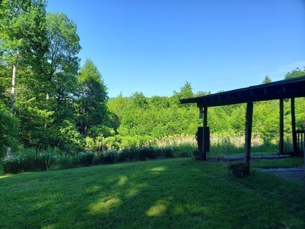 31 Goss Hill Road Huntington, MA 01050 - Photo 4 of 20 a view of lush green forest