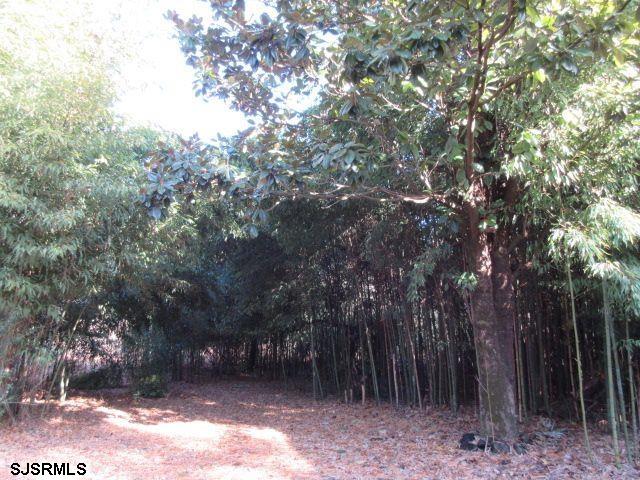 133 Holly Road Absecon, NJ 08201 - Photo 17 of 20 Gallery Image 17