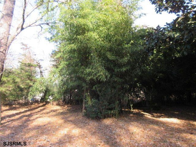 133 Holly Road Absecon, NJ 08201 - Photo 18 of 20 Gallery Image 18