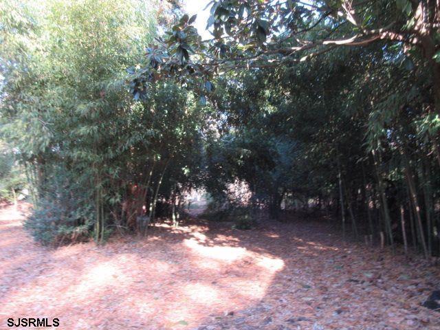 133 Holly Road Absecon, NJ 08201 - Photo 19 of 20 Gallery Image 19