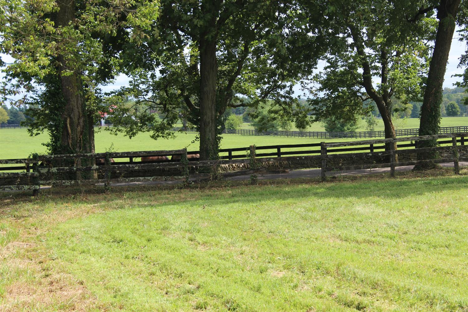 420 Johnston Road Lexington, KY 40511 - Photo 4 of 8 Listing Photo