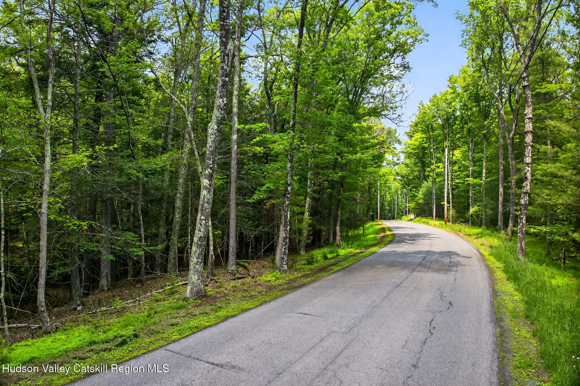 Tbd Dug Hill Road Hurley, NY 12443 - Photo 2 of 7 2