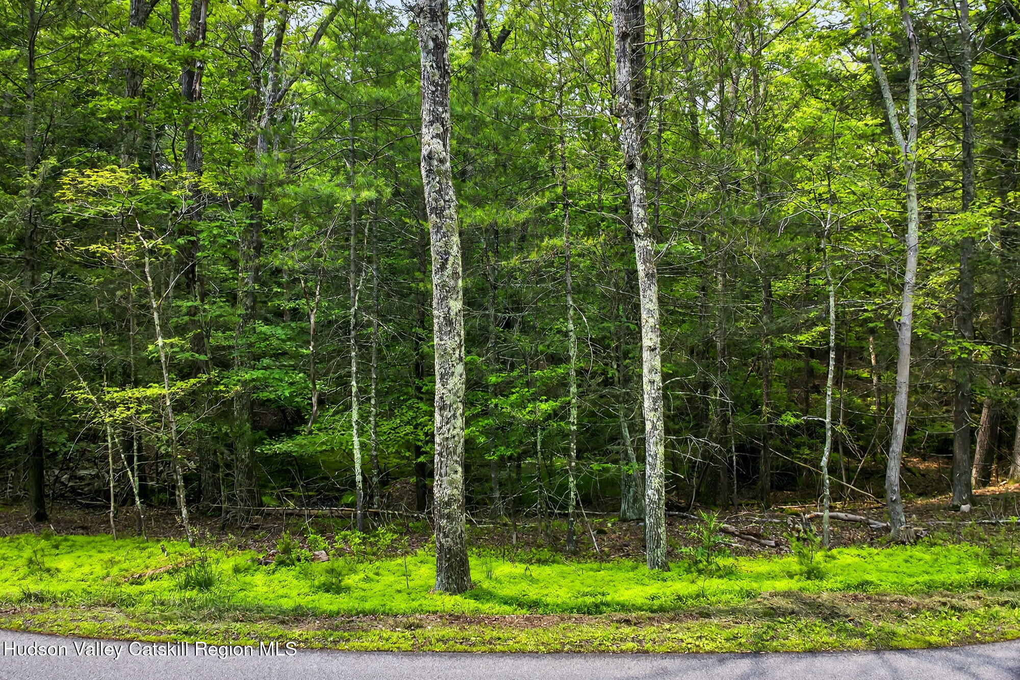 Tbd Dug Hill Road Hurley, NY 12443 - Photo 3 of 7 3