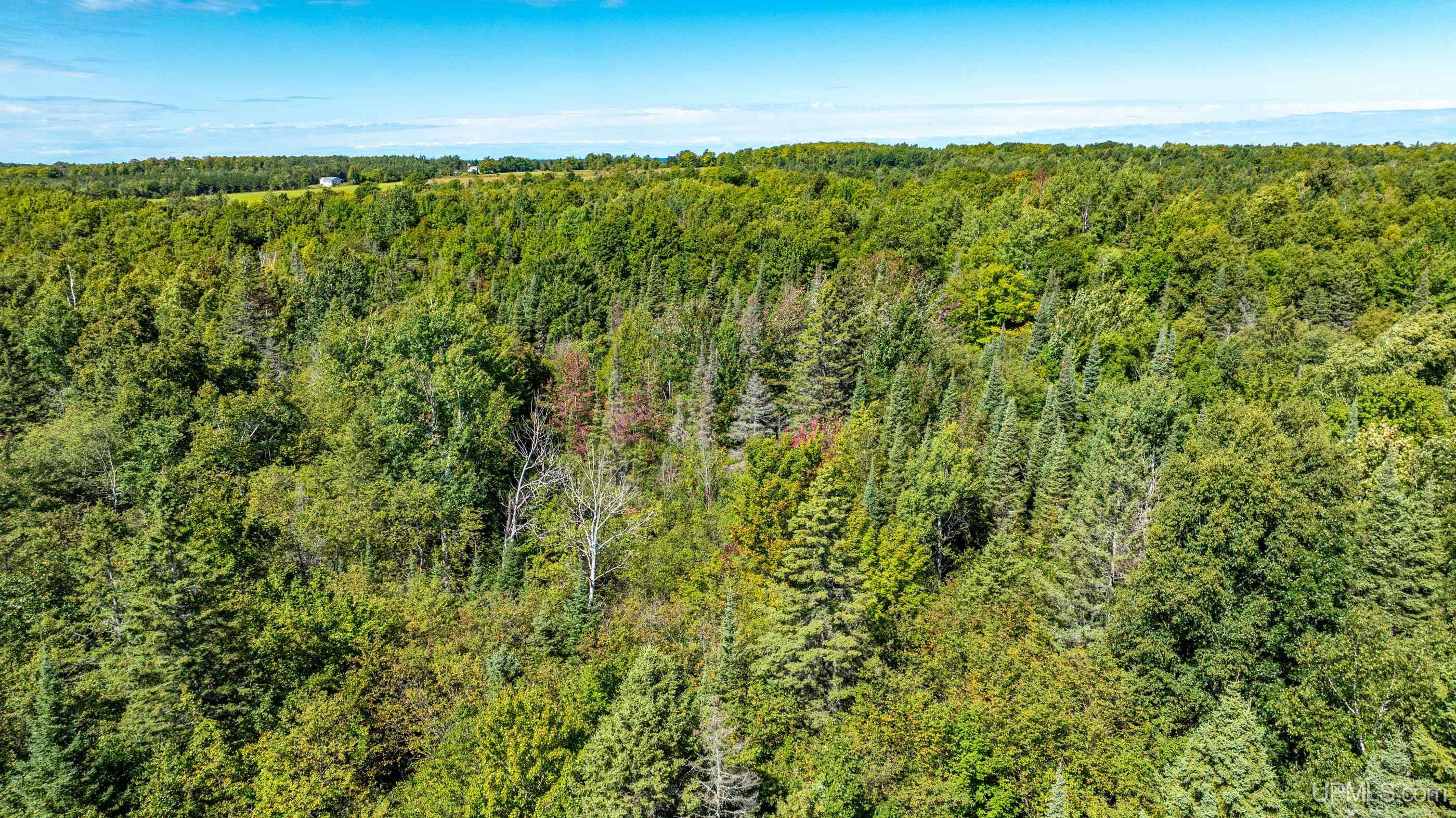 54509 Salo Road Hancock, MI 49930 - Photo 41 of 58