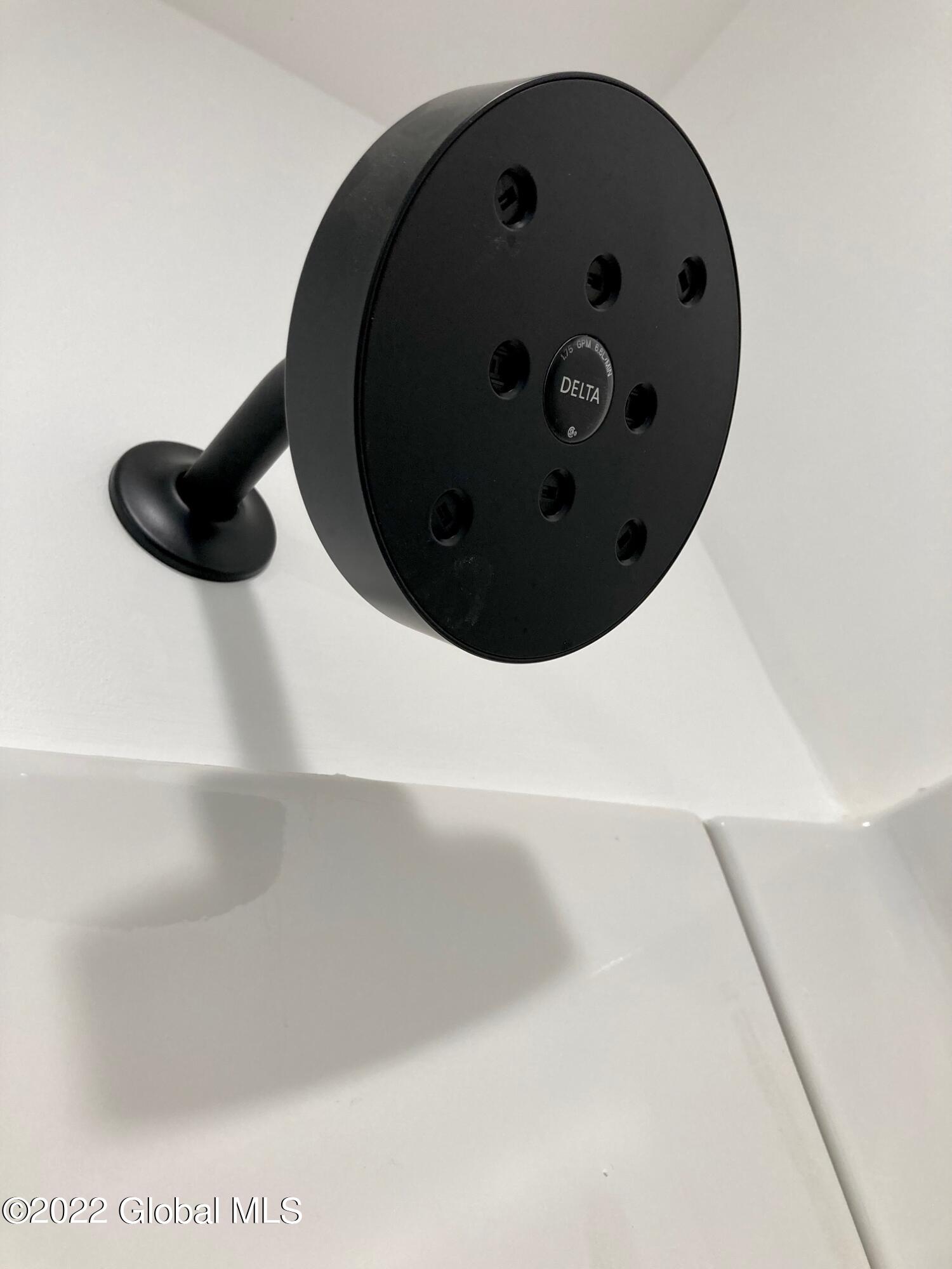 9 Pineview Lane Halfmoon, NY 12065 - Photo 33 of 59 IMG_4133