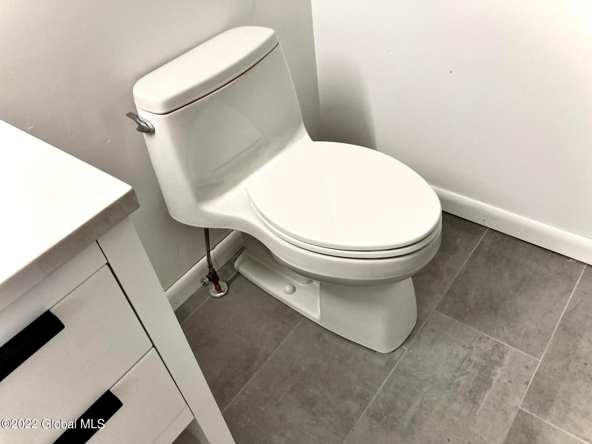 9 Pineview Lane Halfmoon, NY 12065 - Photo 36 of 59 IMG_4142