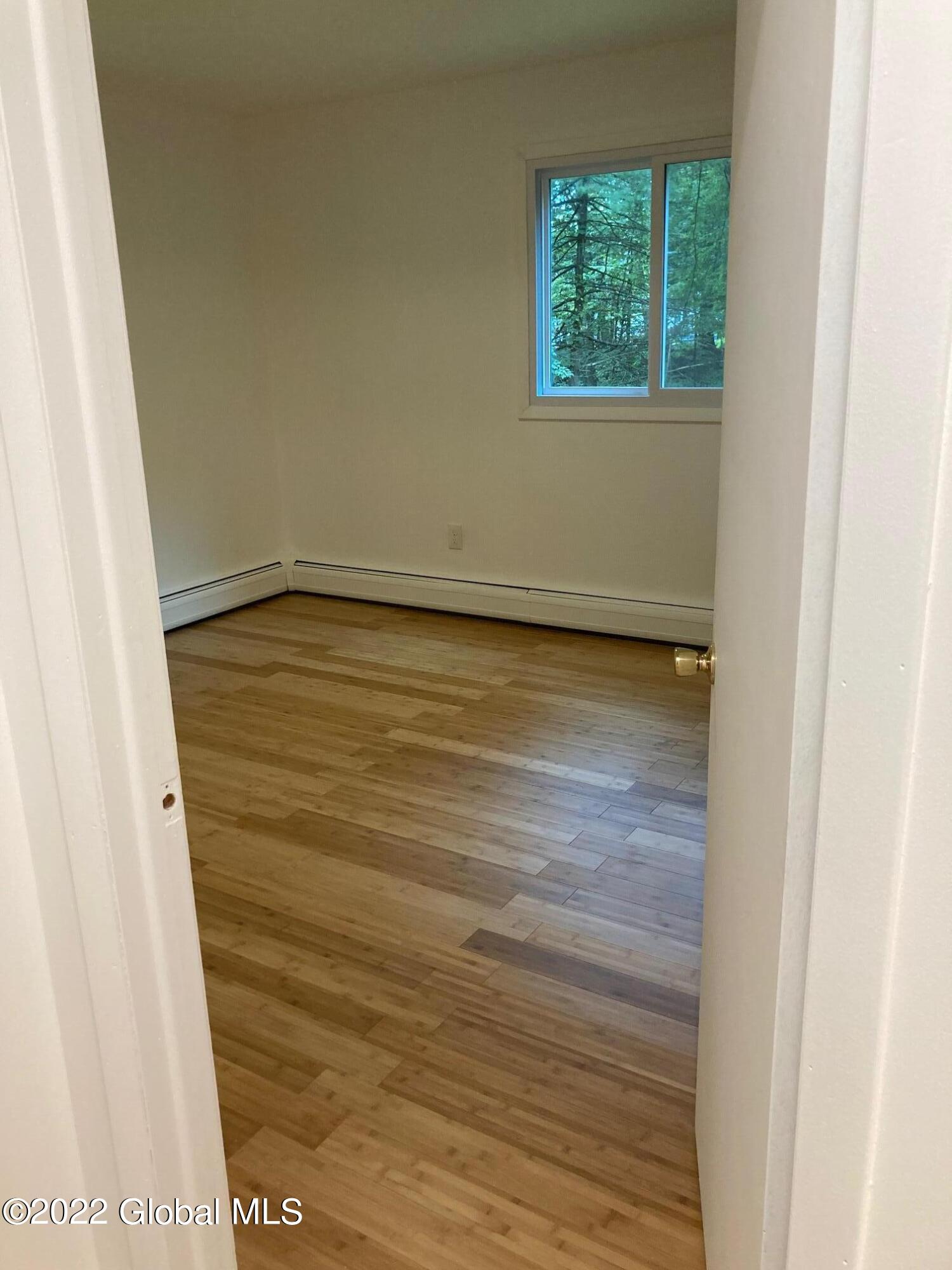 9 Pineview Lane Halfmoon, NY 12065 - Photo 47 of 59 IMG_4314