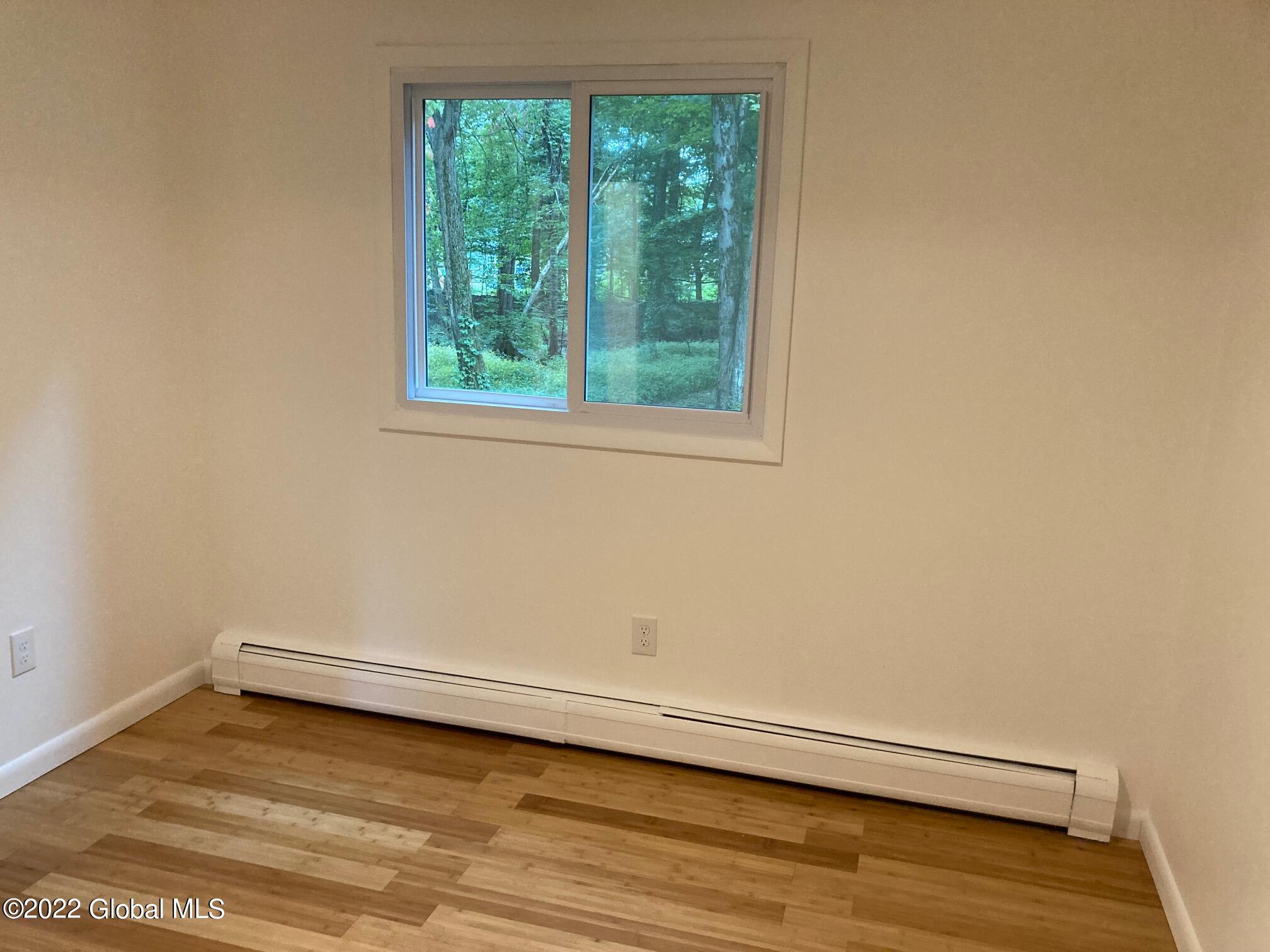 9 Pineview Lane Halfmoon, NY 12065 - Photo 52 of 59 IMG_4312