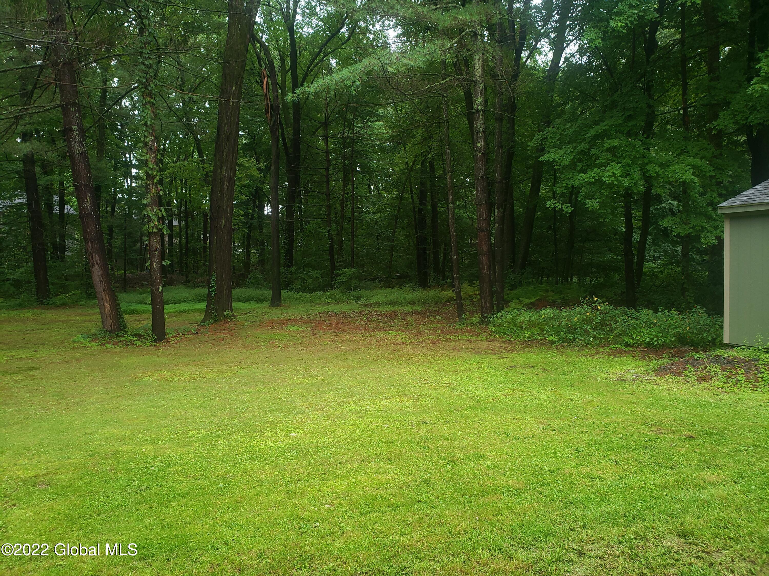 9 Pineview Lane Halfmoon, NY 12065 - Photo 10 of 59 large yard area