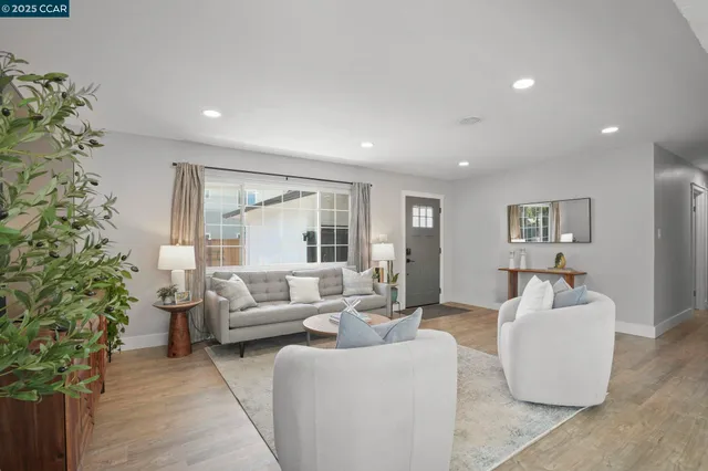 a living room with furniture and a potted plant