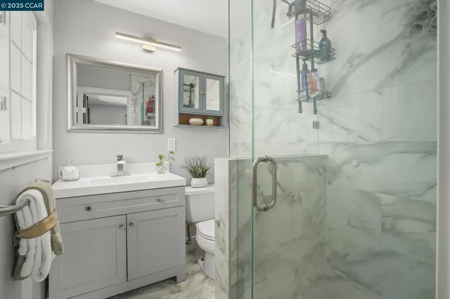 a bathroom with a granite countertop sink a toilet and shower