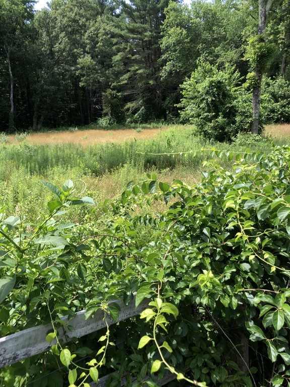 1 Harvard Road Bolton, MA 01740 - Photo 2 of 4 Gallery Image 2