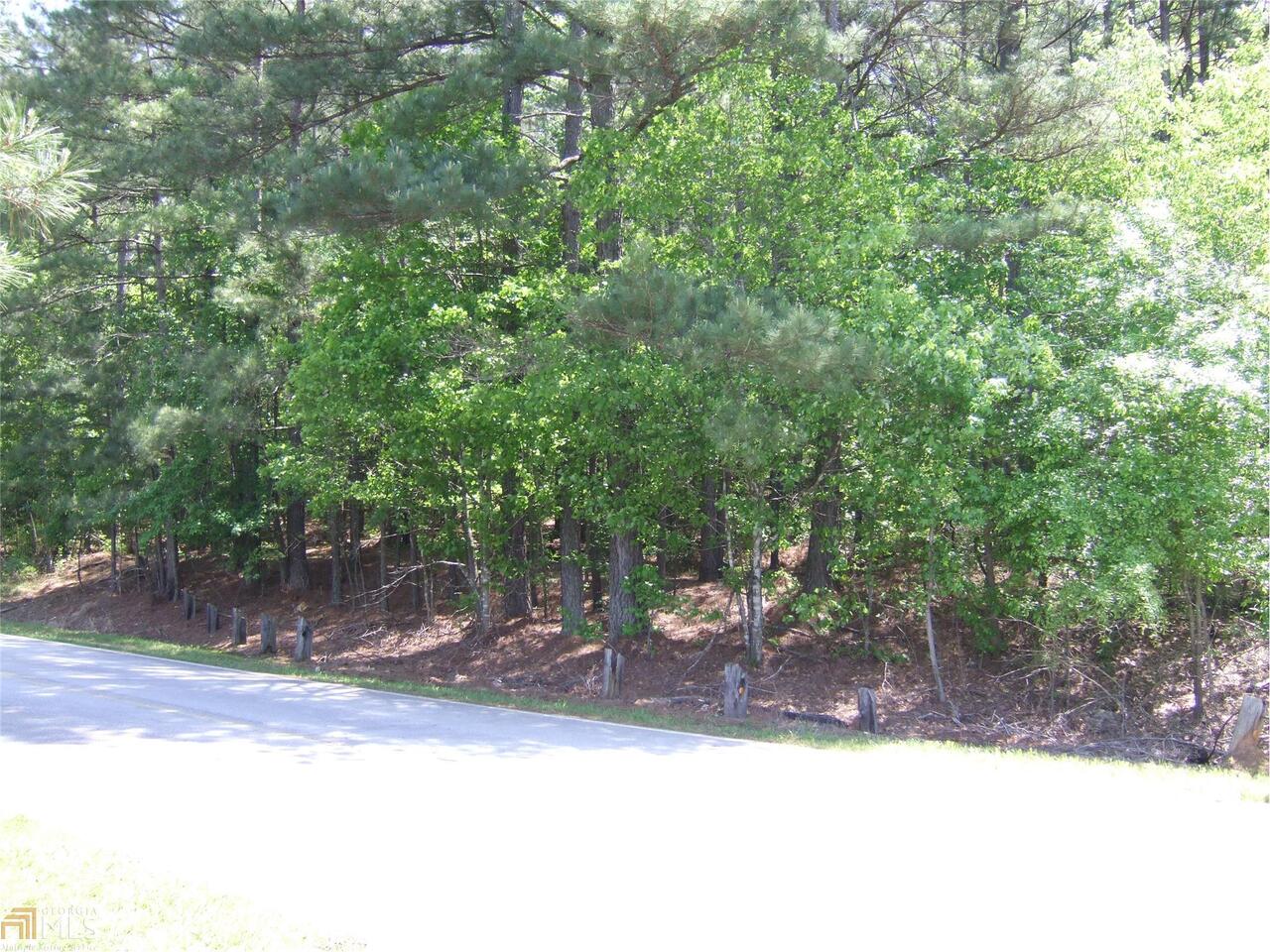 6520 Cochran Mill Road Fairburn, GA 30213 - Photo 1 of 1 a view of a yard with a tree