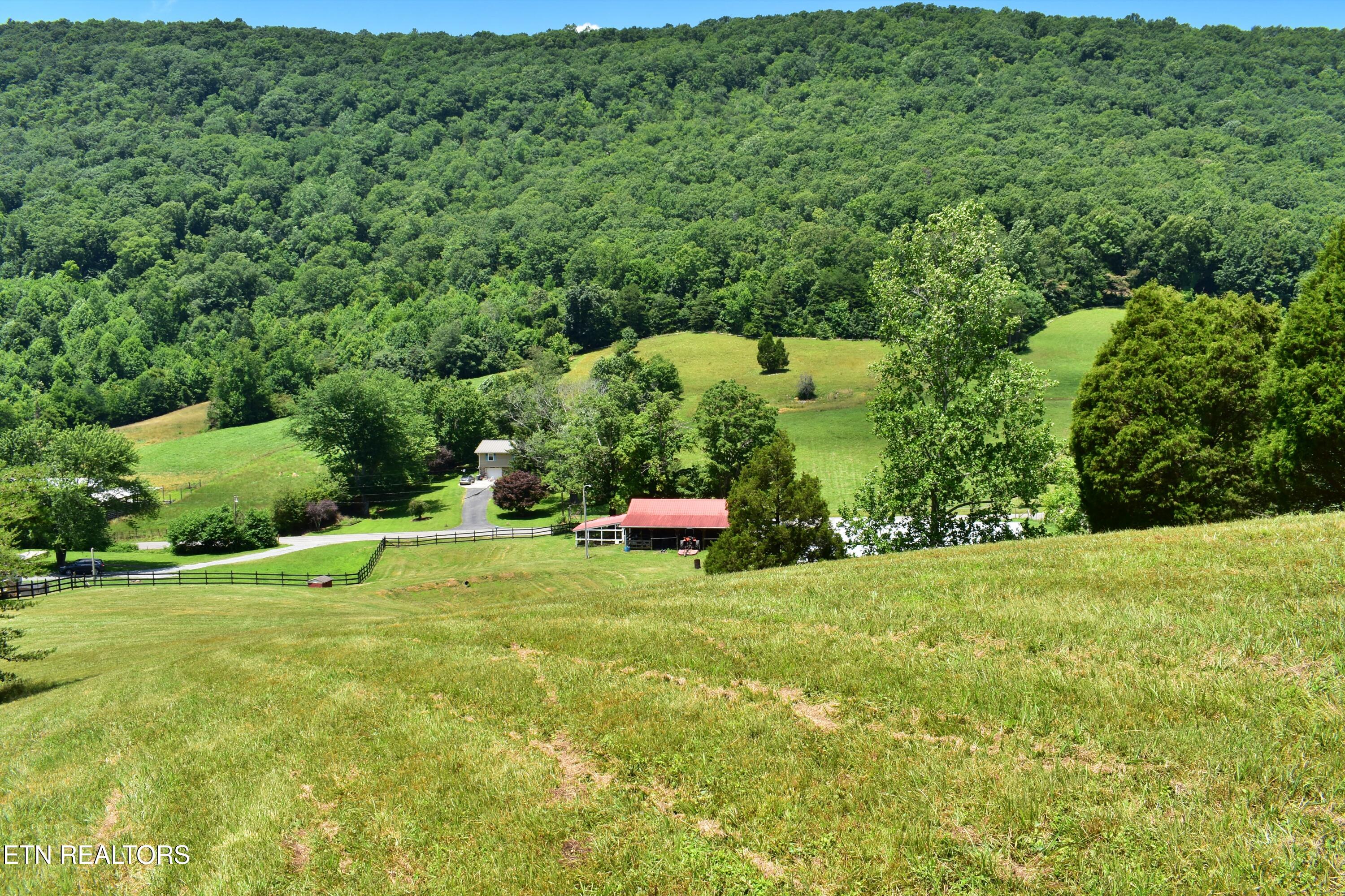 1319 Ideal Valley Road Spring City, TN 37381 - Photo 45 of 49 DSC_0780