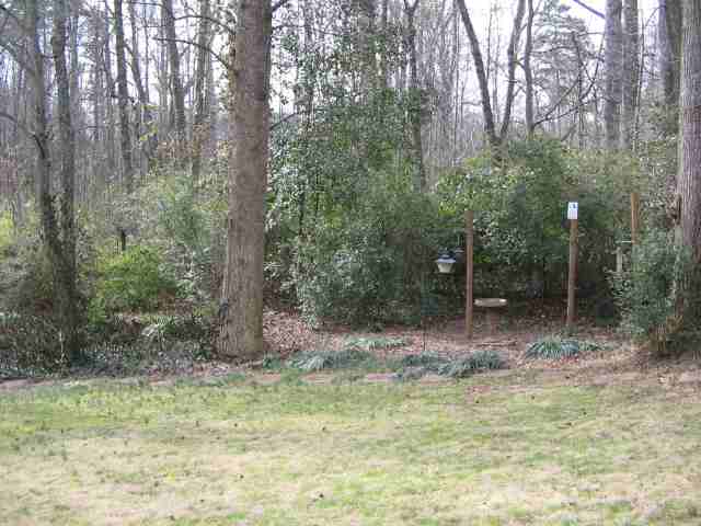 311 Paddock Lane Greer, SC 29650 - Photo 8 of 9 Gallery Image 8