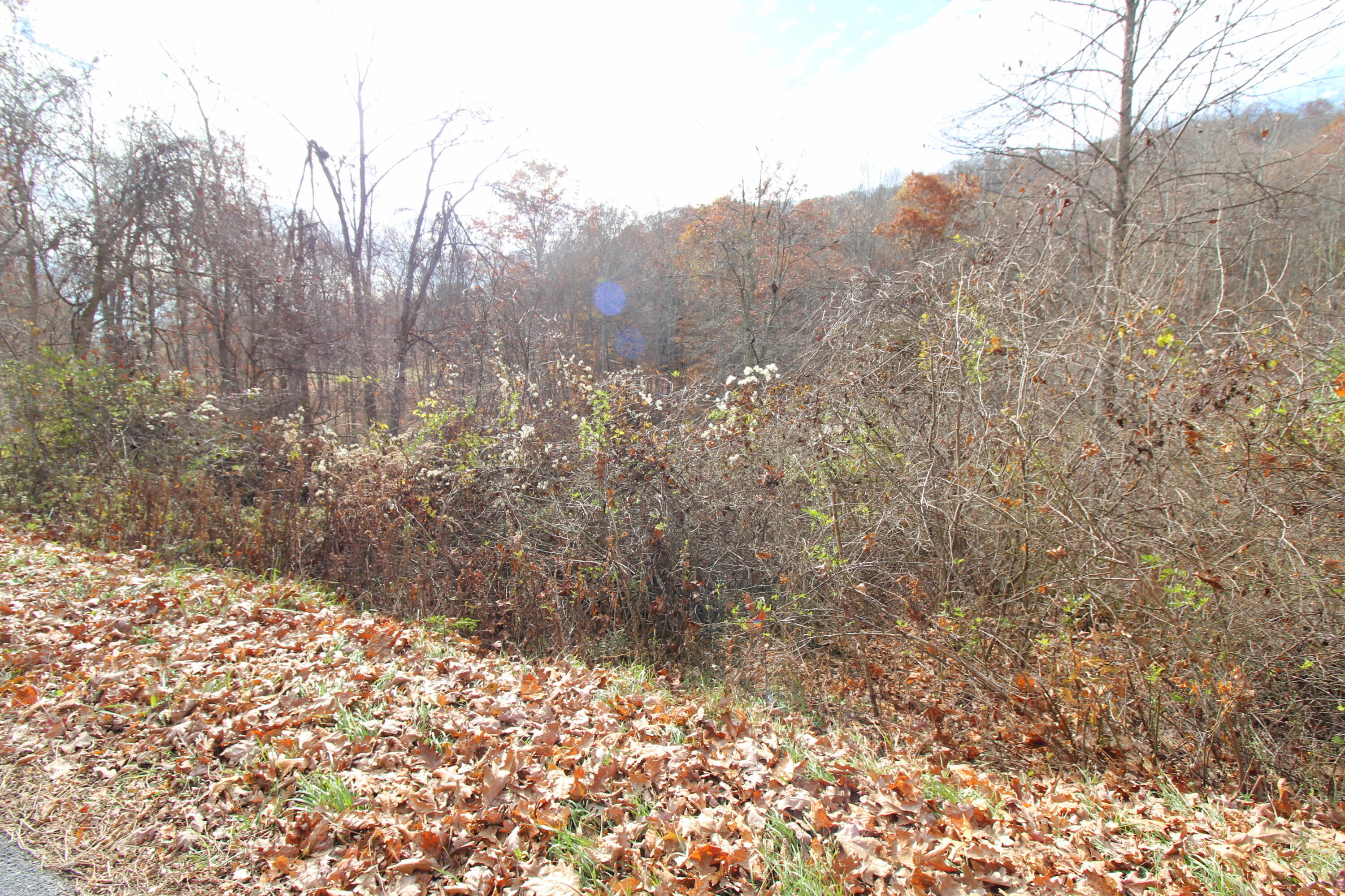 9031 Judson Road Hinton, WV 25951 - Photo 20 of 32 Gallery Image 20