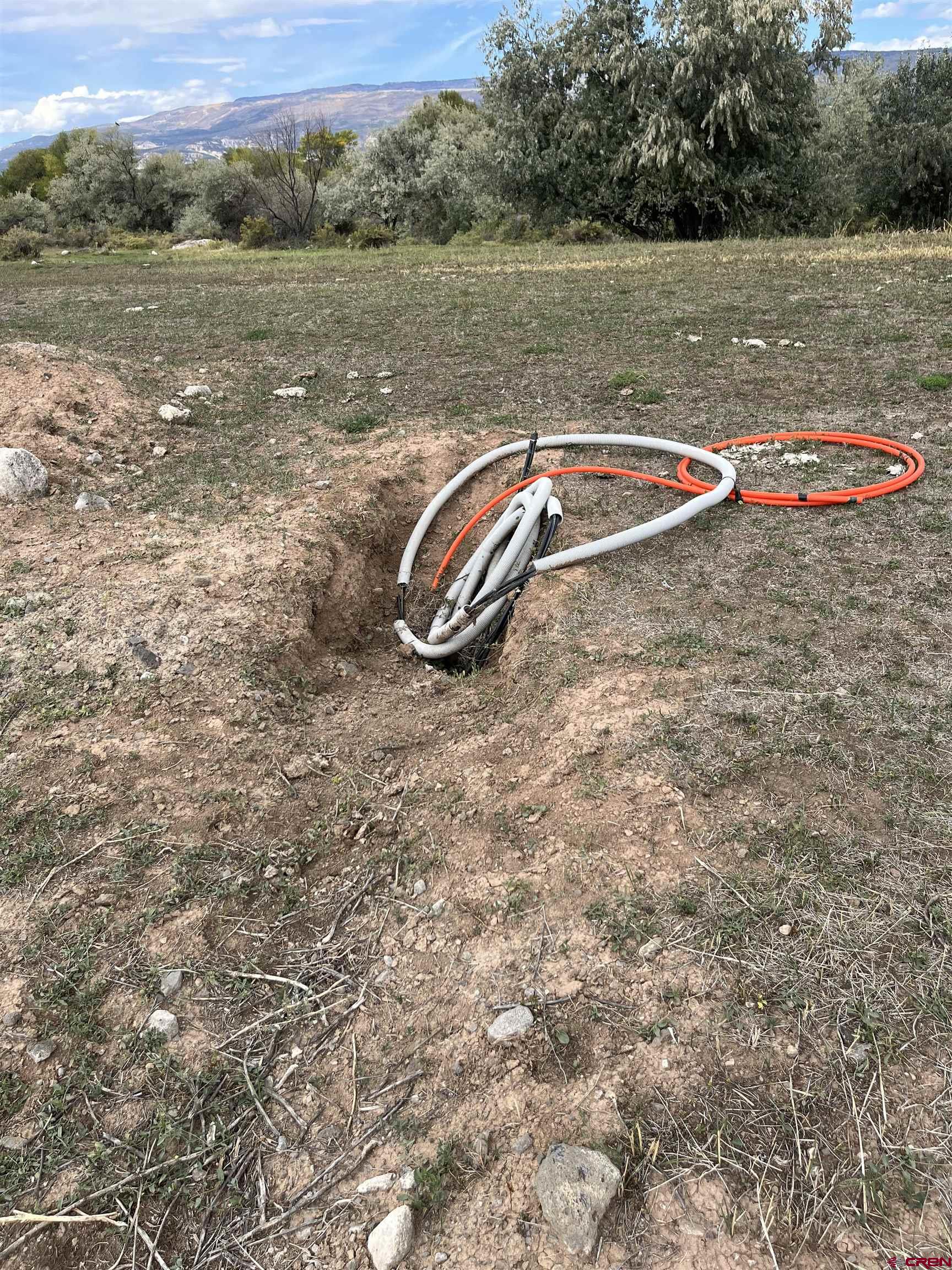 1006 Southwest 11th Avenue Cedaredge, CO 81413 - Photo 4 of 11 a view of a lake with a yard and large trees