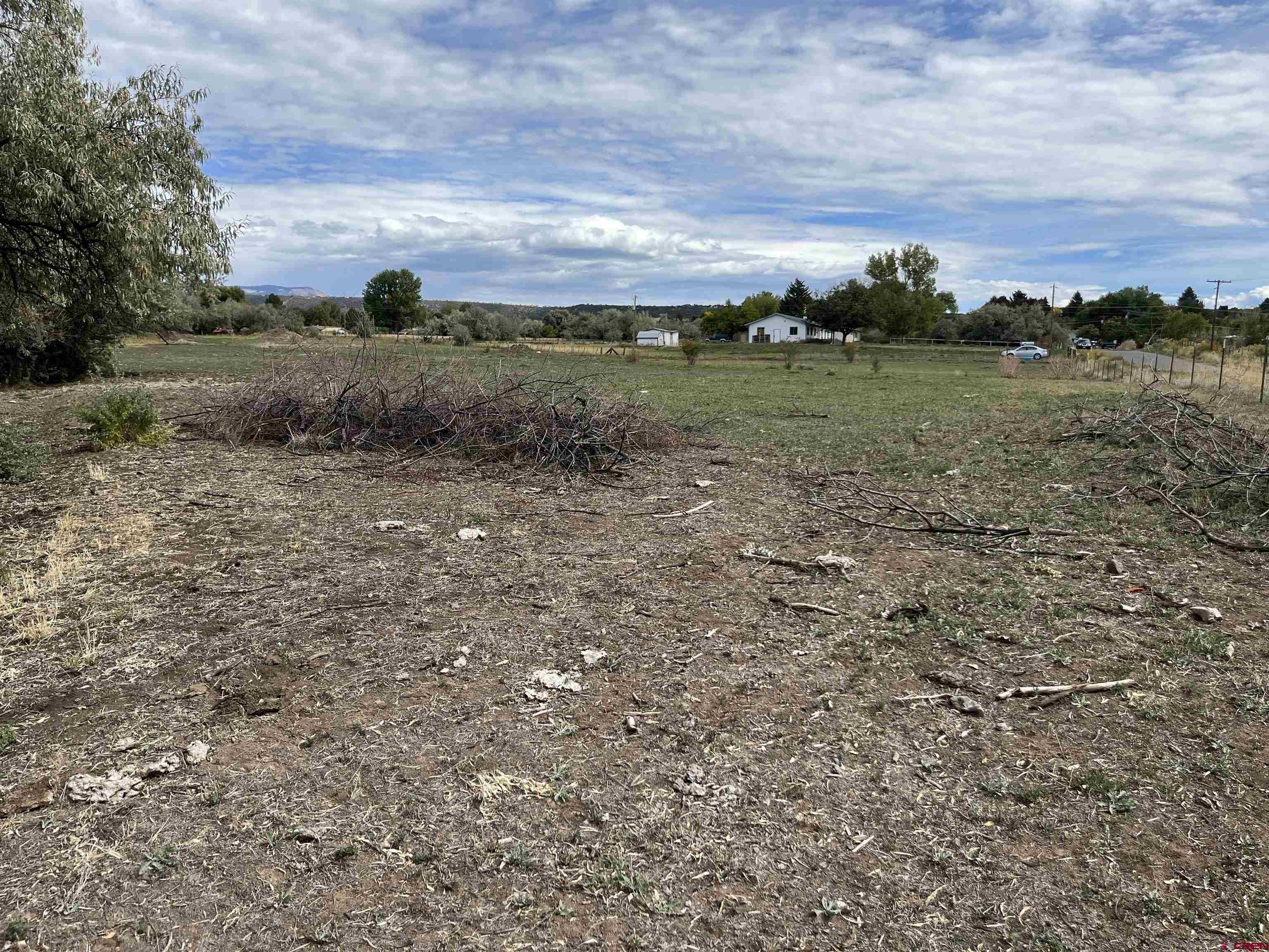 1006 Southwest 11th Avenue Cedaredge, CO 81413 - Photo 5 of 11 a view of a big yard with a house