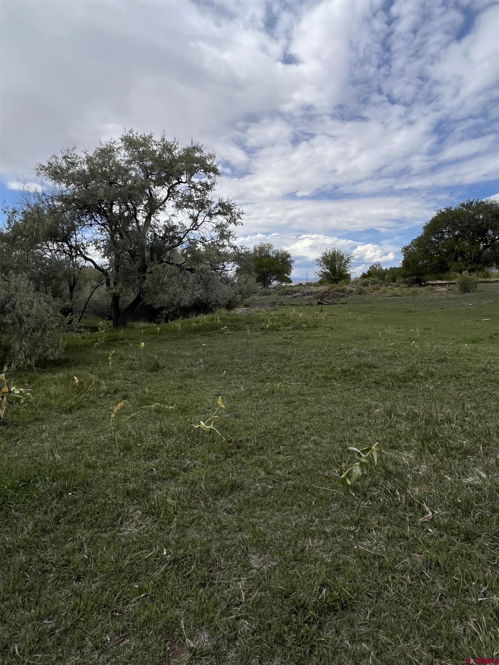 1006 Southwest 11th Avenue Cedaredge, CO 81413 - Photo 6 of 11 a view of a field with an trees