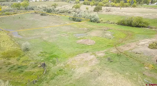 a view of beach and ocean