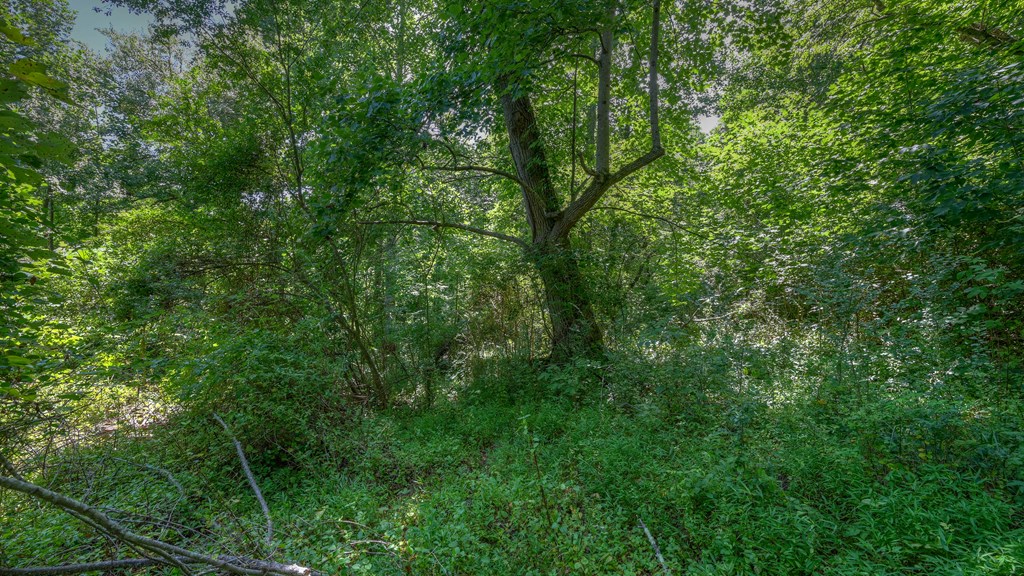 0 Crowe Road Murphy, NC 28906 - Photo 25 of 52 Gallery Image 25