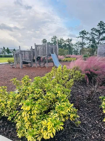 $3,000 | 13809 Luna Harvest Avenue, Winter Garden, FL 34787