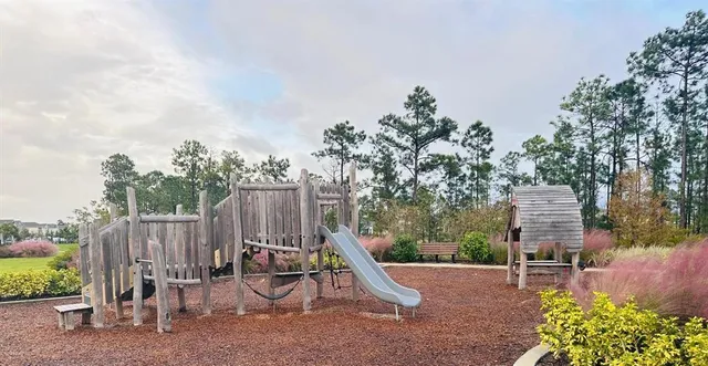 $3,000 | 13809 Luna Harvest Avenue, Winter Garden, FL 34787