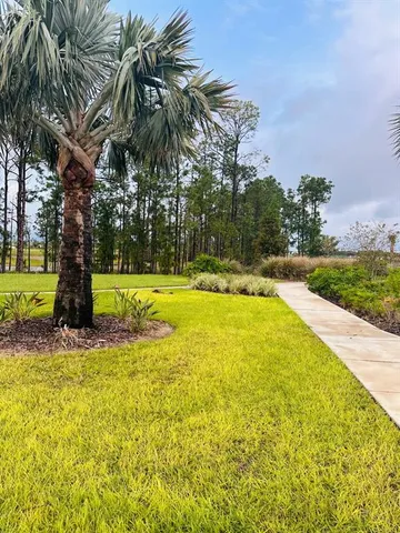 $3,000 | 13809 Luna Harvest Avenue, Winter Garden, FL 34787