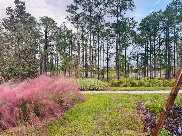 $3,000 | 13809 Luna Harvest Avenue, Winter Garden, FL 34787