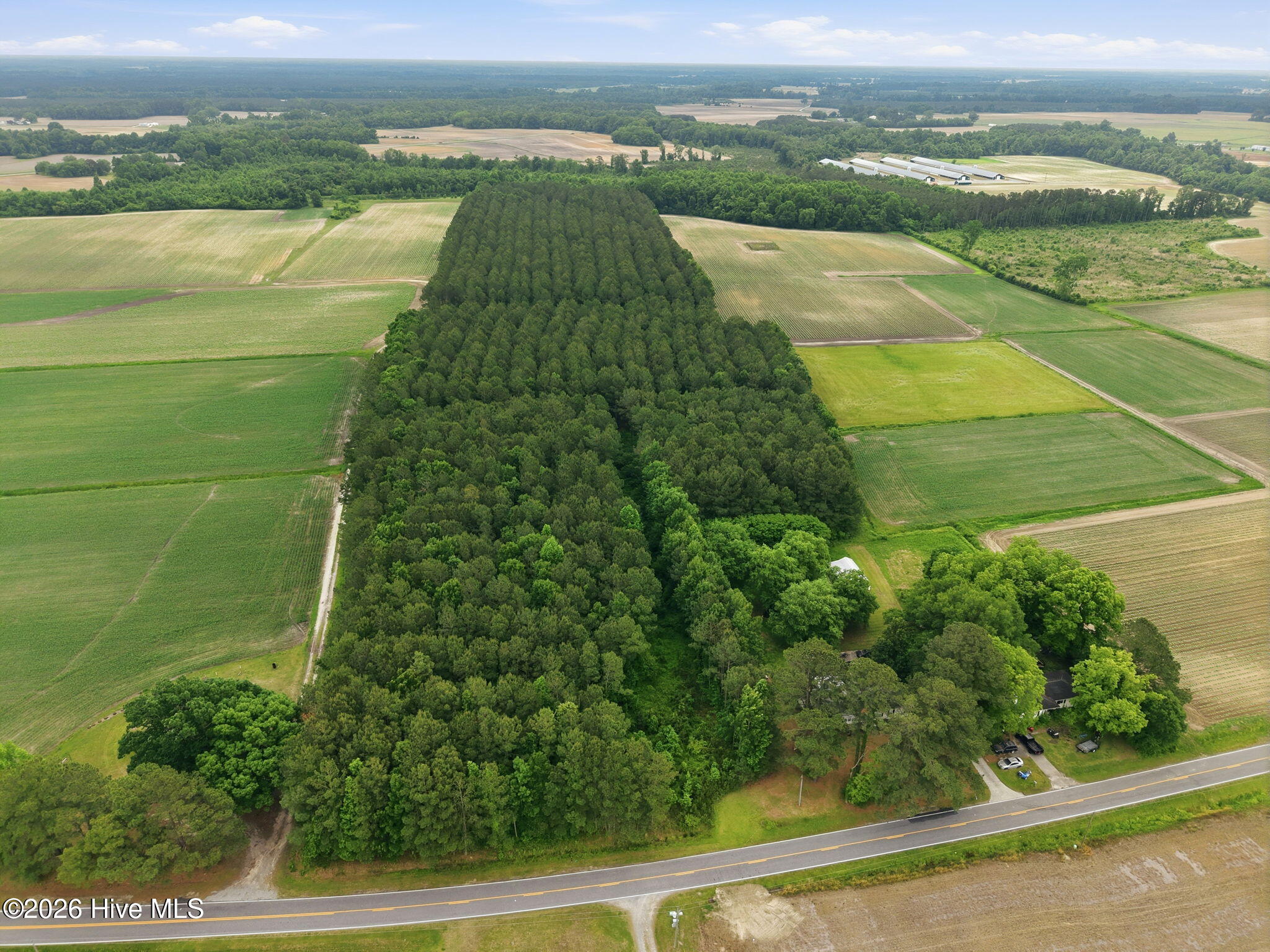 0 Fire Tower Road Walstonburg, NC 27888 - Photo 6 of 10 6-web-or-mls-DJI_20260511115132_0016_D