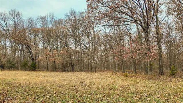 $1,200,000 | 9535 Northeast 681, Lowry City, MO 64763