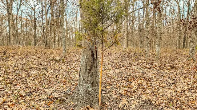 $1,200,000 | 9535 Northeast 681, Lowry City, MO 64763