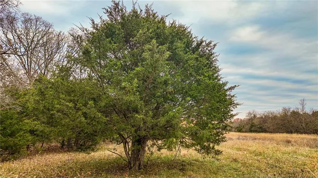 $1,200,000 | 9535 Northeast 681, Lowry City, MO 64763