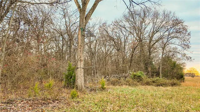 $1,200,000 | 9535 Northeast 681, Lowry City, MO 64763