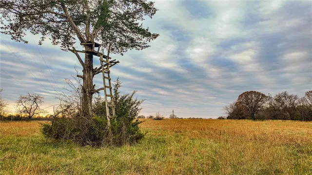 $1,200,000 | 9535 Northeast 681, Lowry City, MO 64763