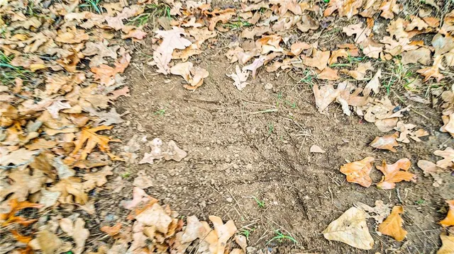 $1,200,000 | 9535 Northeast 681, Lowry City, MO 64763