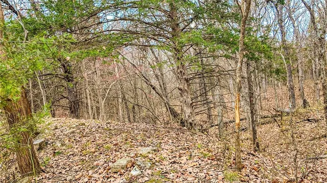 $1,200,000 | 9535 Northeast 681, Lowry City, MO 64763