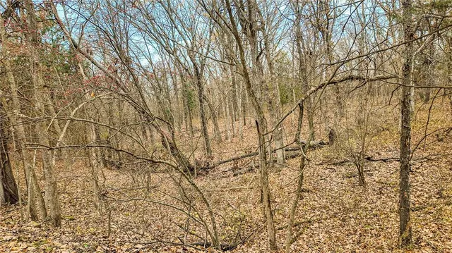 $1,200,000 | 9535 Northeast 681, Lowry City, MO 64763