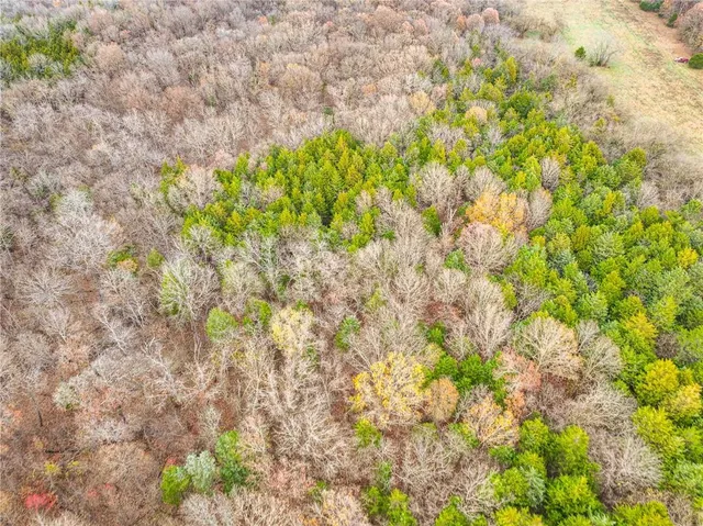 $1,200,000 | 9535 Northeast 681, Lowry City, MO 64763