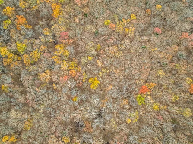 $1,200,000 | 9535 Northeast 681, Lowry City, MO 64763