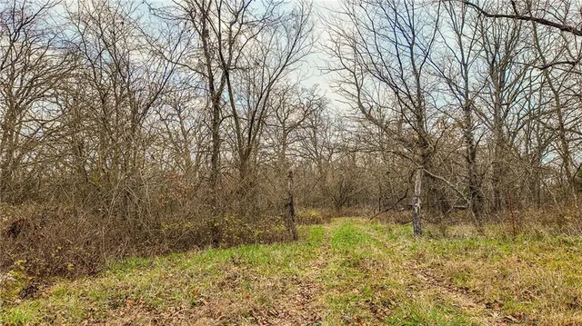 $1,200,000 | 9535 Northeast 681, Lowry City, MO 64763