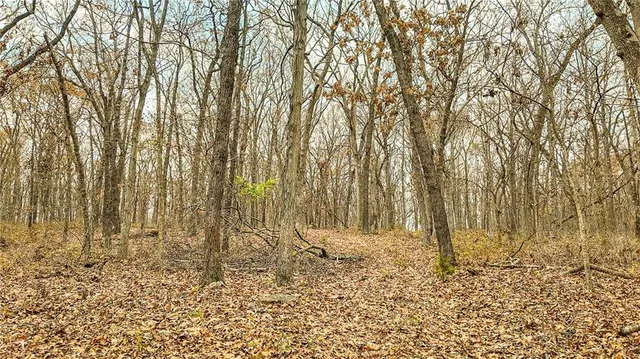 $1,200,000 | 9535 Northeast 681, Lowry City, MO 64763